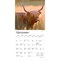Highland Cows | 2026 7 x 14 Inch (Hanging) Monthly Mini Wall Calendar